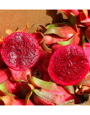 Pitahaya