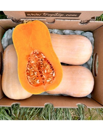 Calabaza Cacahuete