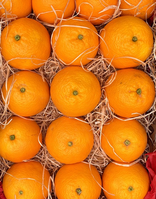 Naranjas Valencianas