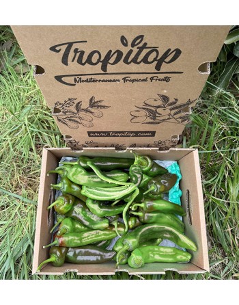 Pimientos Verdes Italianos
