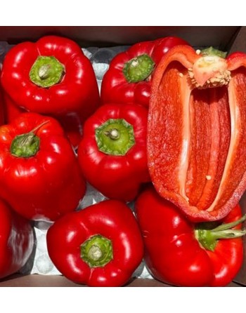 Pimiento rojo